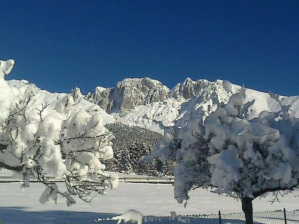 Hotel Des Alpes 코스티노델라프레소라나 외부 사진